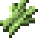 5903_MCsugarcane