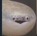 FISHYYBASPIS