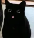 cattongue