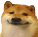 SmileDog
