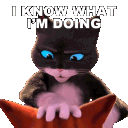 kitty_ikwhatimdoign Discord Emoji