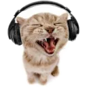 meowww