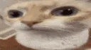 uuh