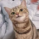 emoji_100