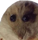 Discord Emote sz_hampter: