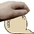 PettheQbutnowitsagifyoufool
