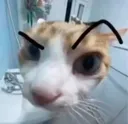 Cathuh Cathuh