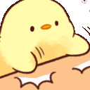 duckslam
