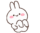 spinbunny