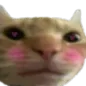 cat_blush_c Discord Emoji