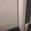 catdoor