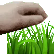 touchgrass