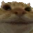 catnodsno
