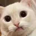 emoji_16