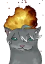 HaiCatExplode