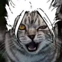 TinyShidou