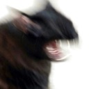 cat_YAUGH Discord emoji
