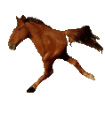 emoji_500