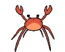 NB_crabdance