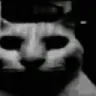 fatlonelyloser