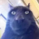 wow