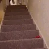 stairFall