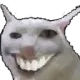 smilecat
