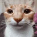 emoji_11
