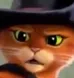 Puss_Tf Puss_Tf