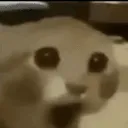 yowhat_c Discord Emoji