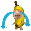 Bananacat bananacat Discord Emoji