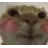BlushCat