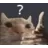 HuhCat