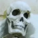 GyatsoSkull