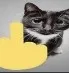 fukyoucat2 Discord Emoji