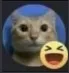 Happicat happicat Discord Emoji