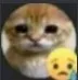 sadcat Discord Emoji