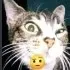 Sideeyecat2 Discord Emoji