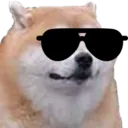 roni_sunglasses