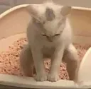 HNNGRR