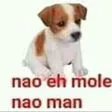naoEh