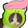 frogcatPat
