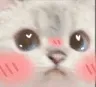kittyblush