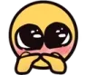 shyplead shyplead