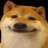 doge_heheh