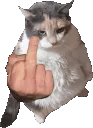 catup