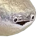 sacabambaspiswhat