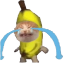banana_cat_crying Discord emoji