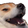 xkek