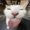 silly_c Discord Emoji